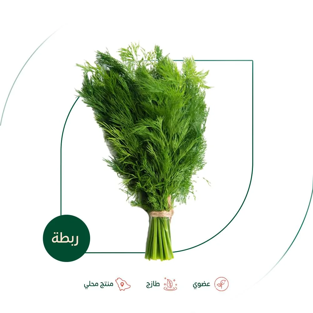 Fresh organic dill from Salwa Organic Farm