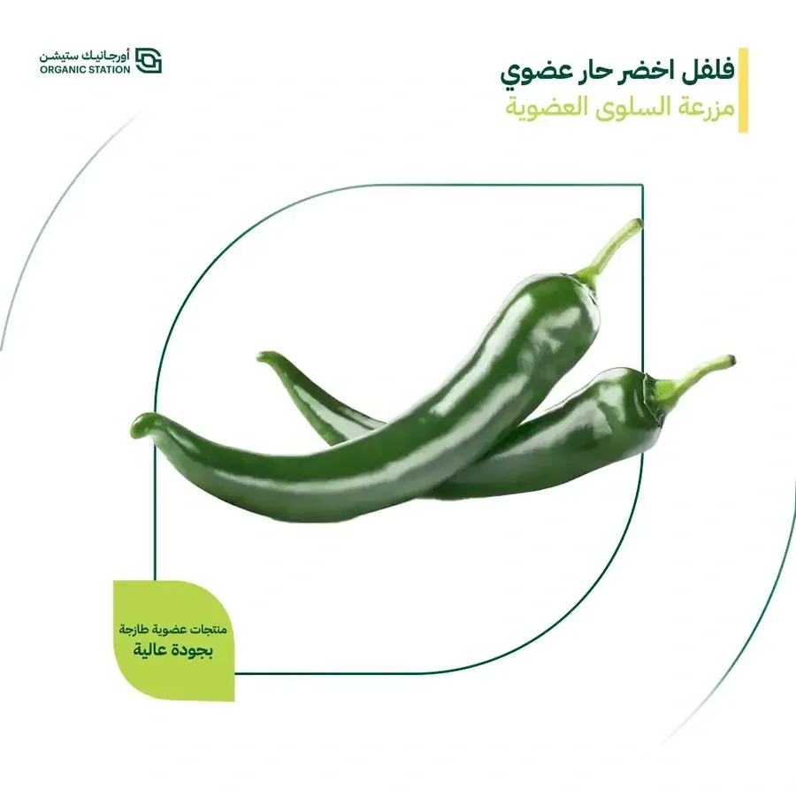 Organic green chili peppers, Salwa Organic Farm, 2...