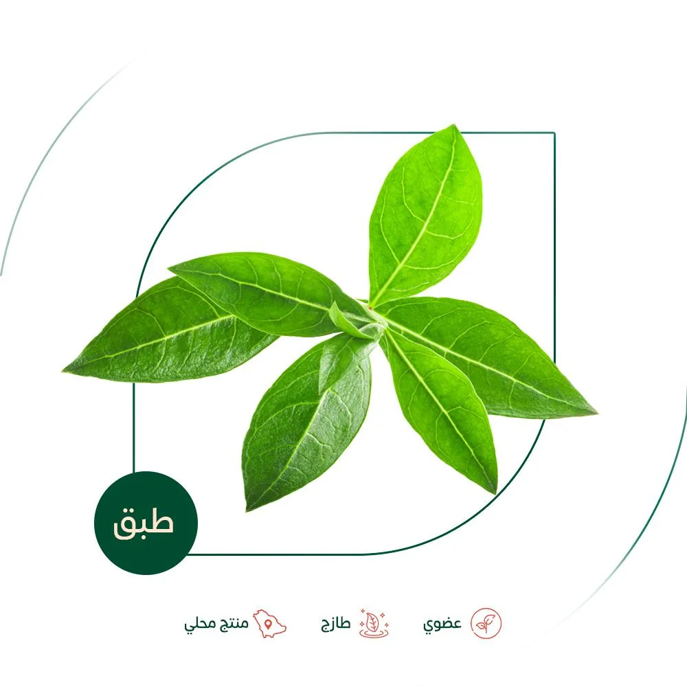 Fresh henna leaves, organic, farm-grown organic