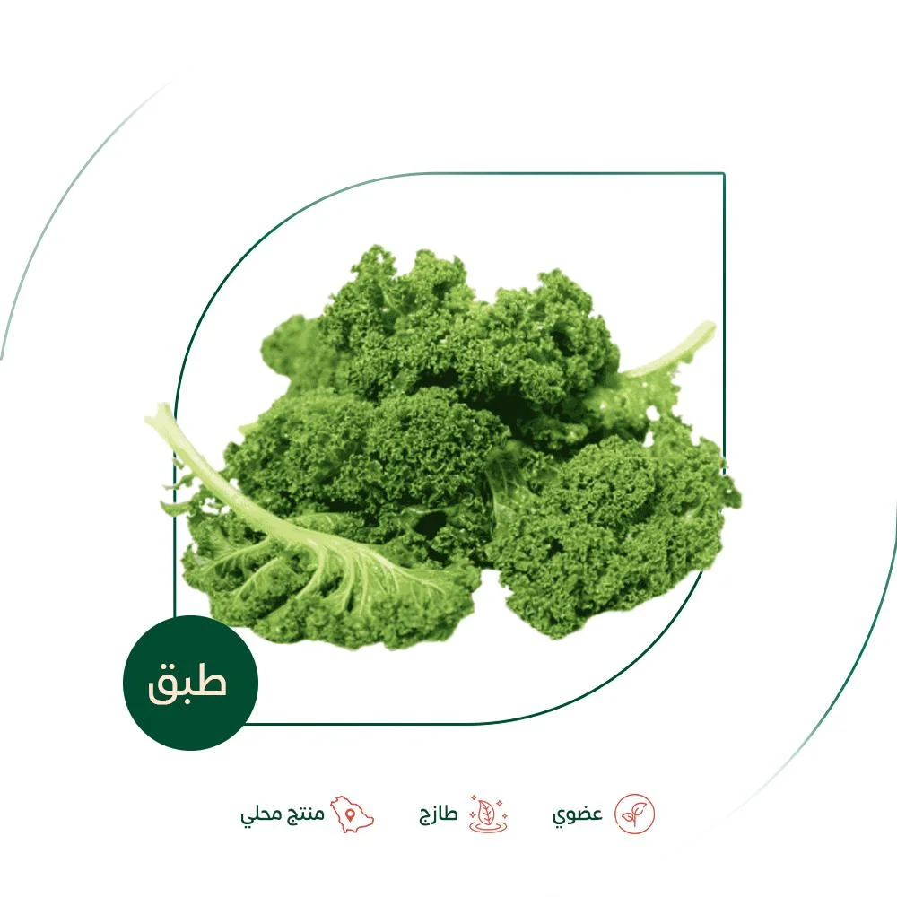 Fresh organic green kale from Salwa Organic Farm