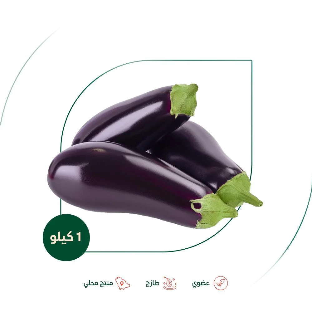 Organic eggplant, Salwa Organic Farm, 1 kg