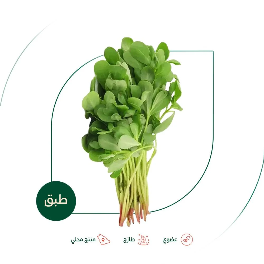 Fresh organic purslane from Salwa Organic Farm