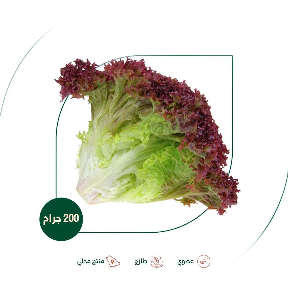Organic Lollo Rosa Red Lettuce, Safe Organic Food...