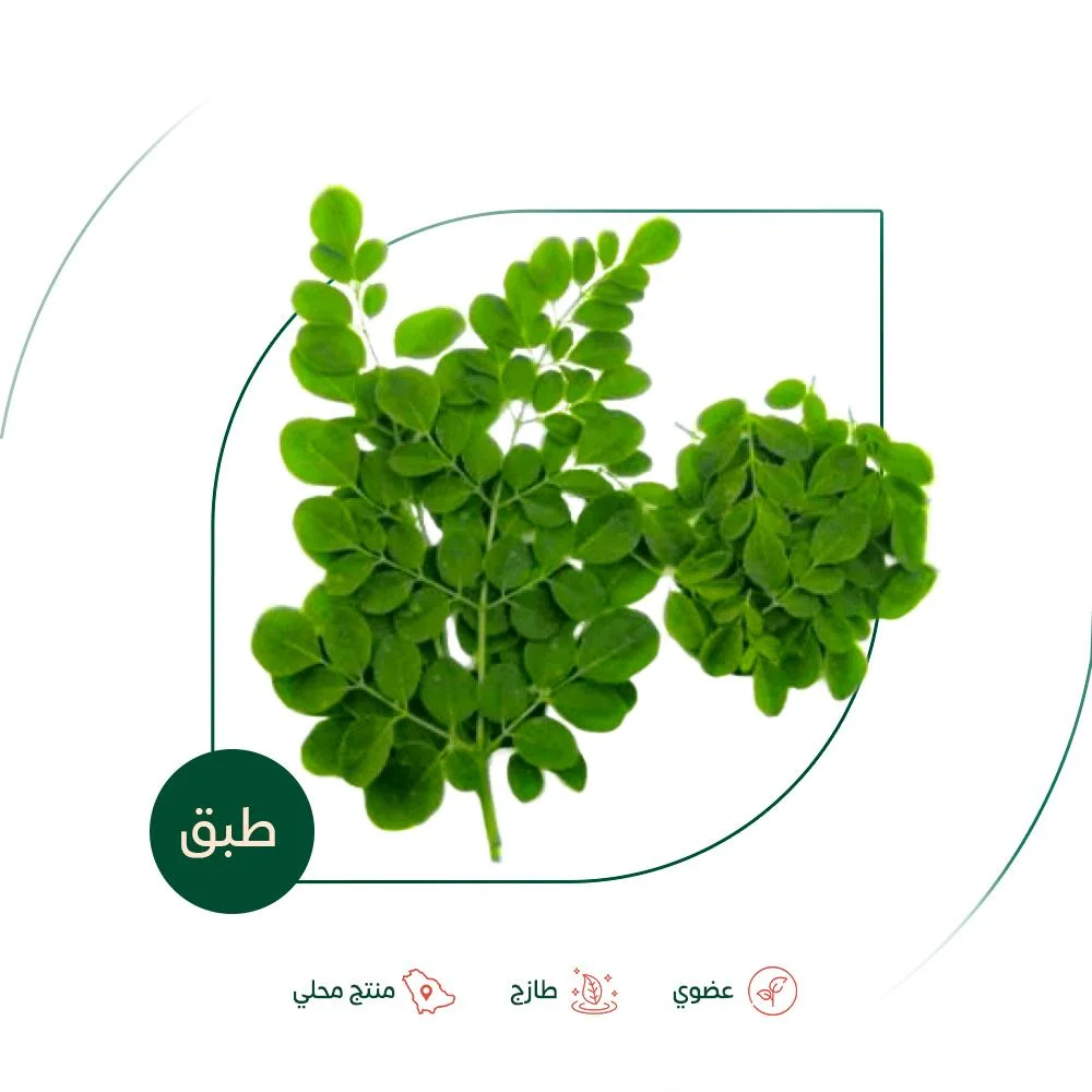 Fresh organic Moringa from Salwa Organic Farm