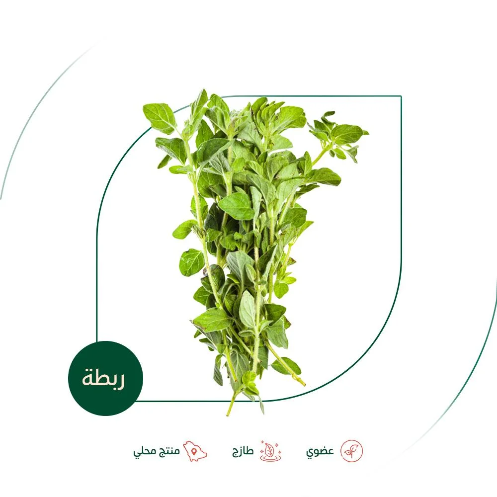 Fresh organic oregano, Salwa Organic Farm, 100g