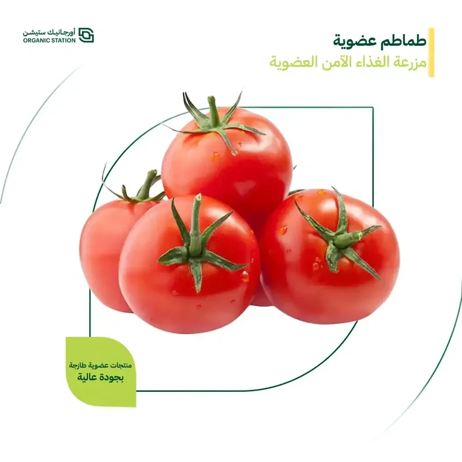 Organic tomatoes, farm-safe organic food