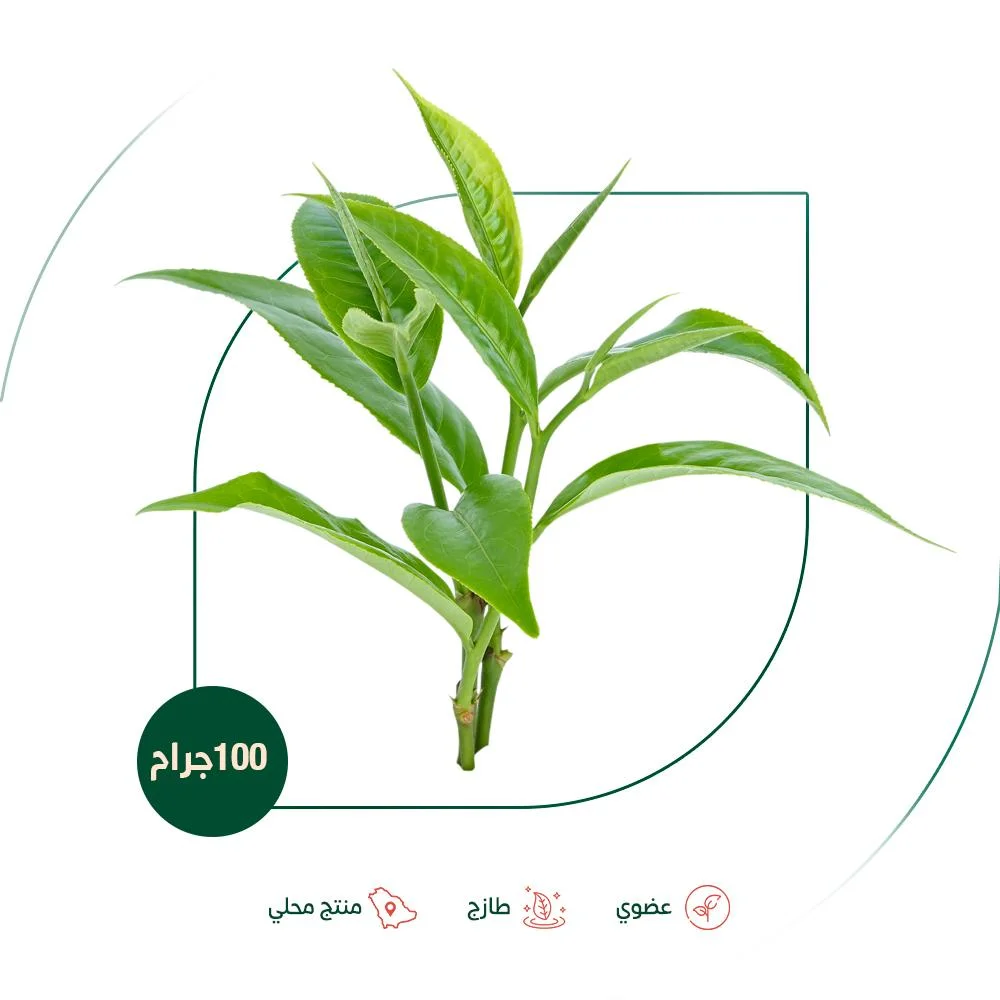 Fresh organic green tea, Salwa Organic Farm, 100g