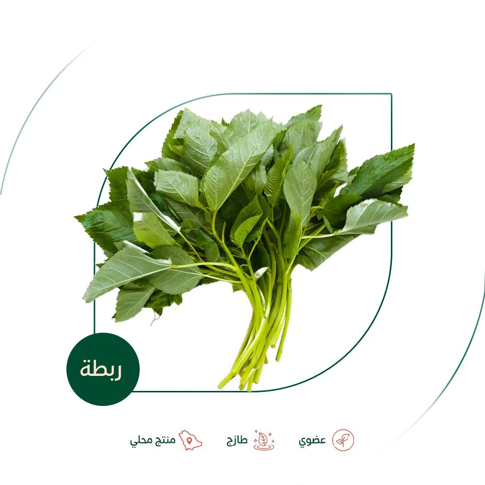 Fresh organic molokhia from Salwa Organic Farm