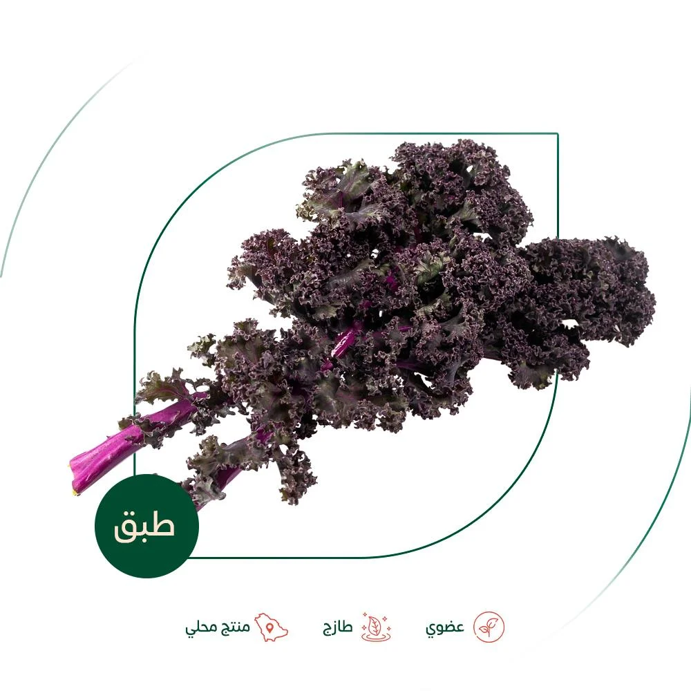 كيل احمر طازج عضوي مزرعة السلوى العضوية