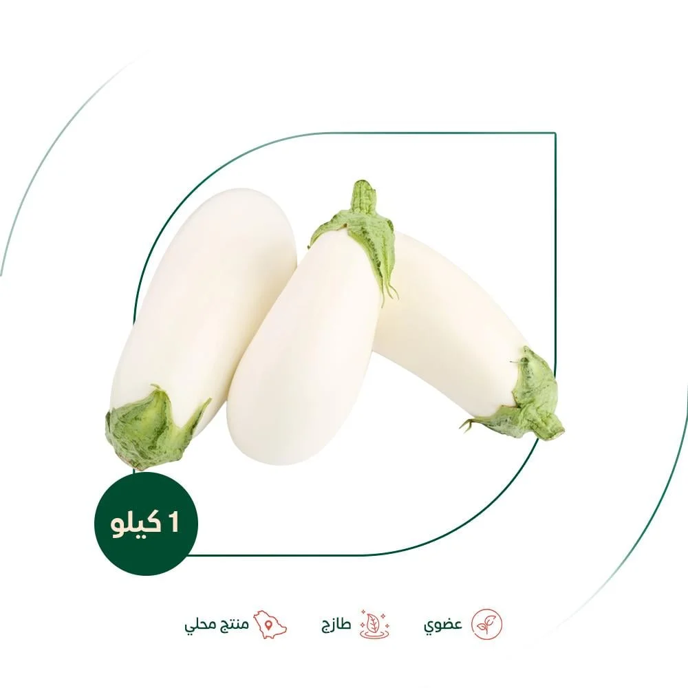 Organic long white eggplant, Salwa Organic Farm, 1...