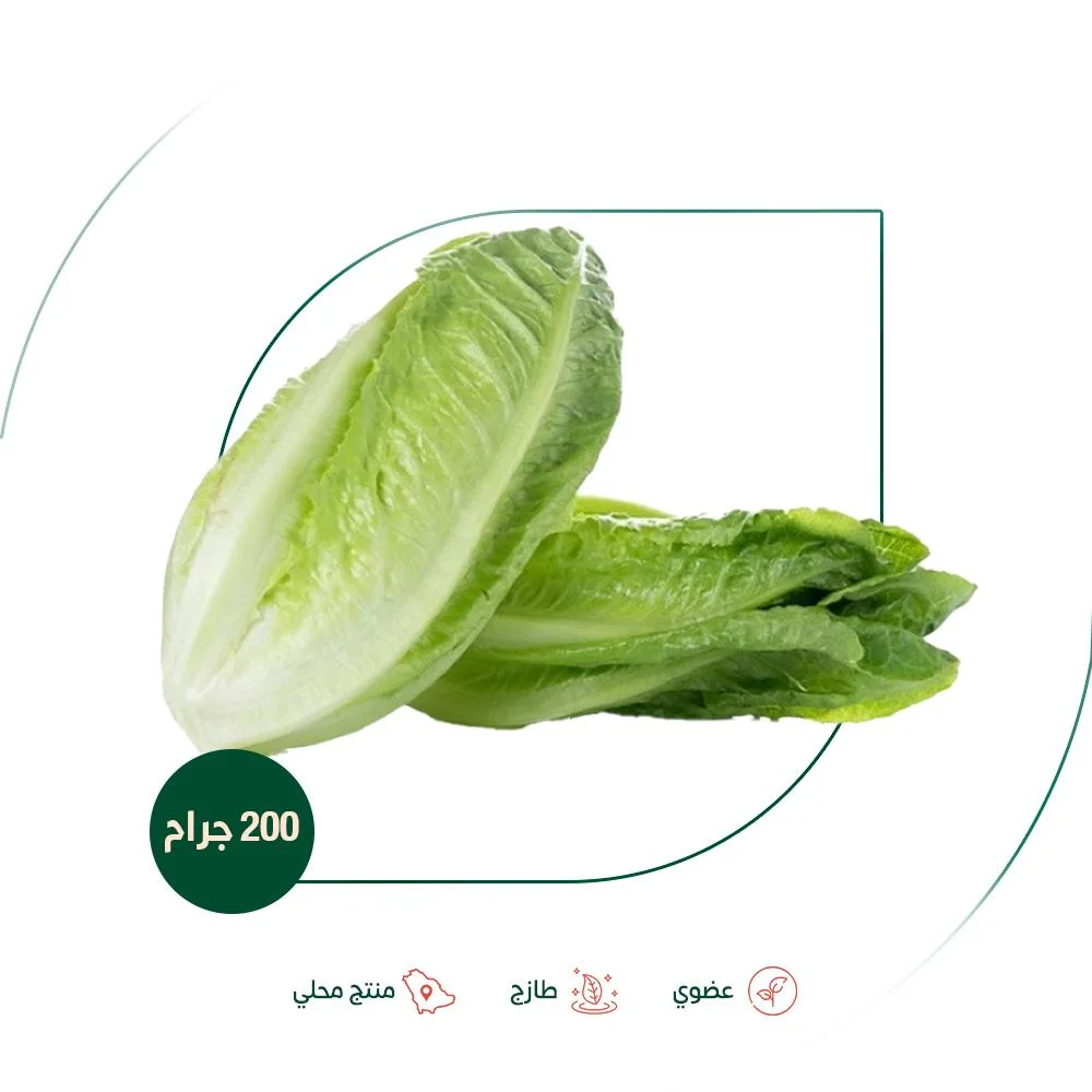 Organic local lettuce, farm-safe organic food