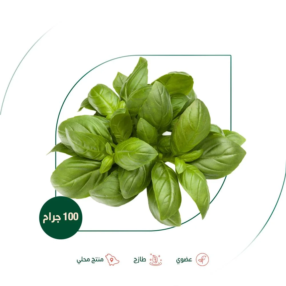 Fresh organic basil, Salwa Organic Farm, 100g
