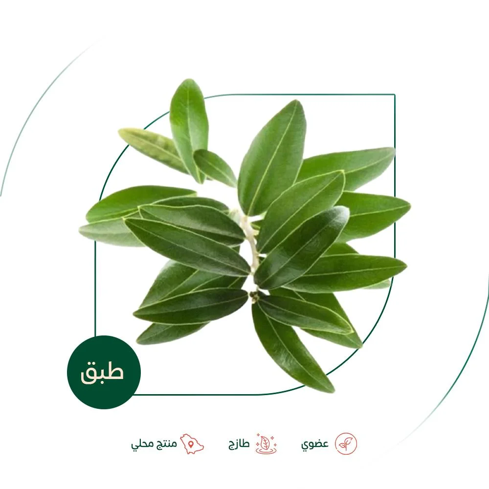 Fresh organic jujube leaves, organic gardening far...