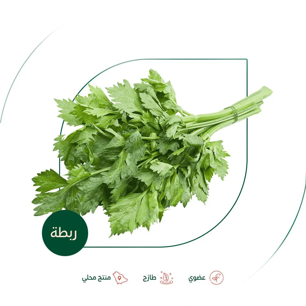 Fresh organic local celery from Salwa Organic Farm