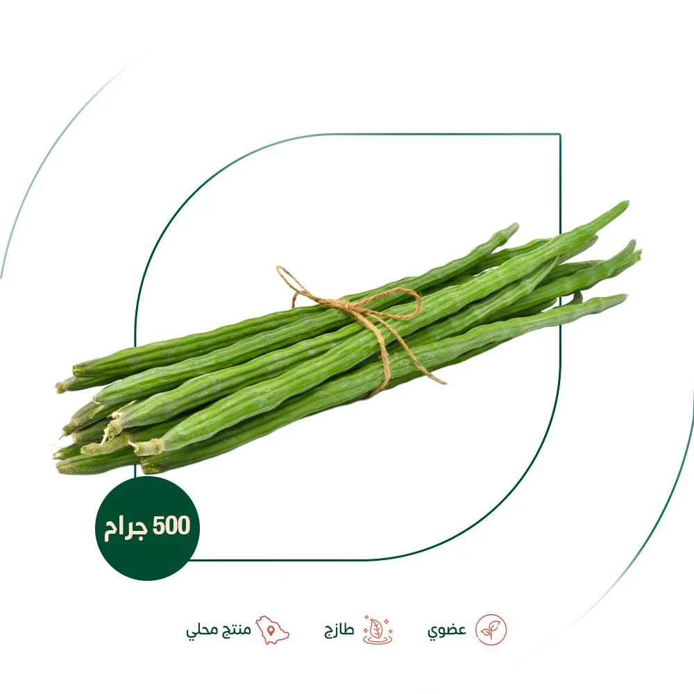 Fresh Moringa pods, organic farm, organic germinat...