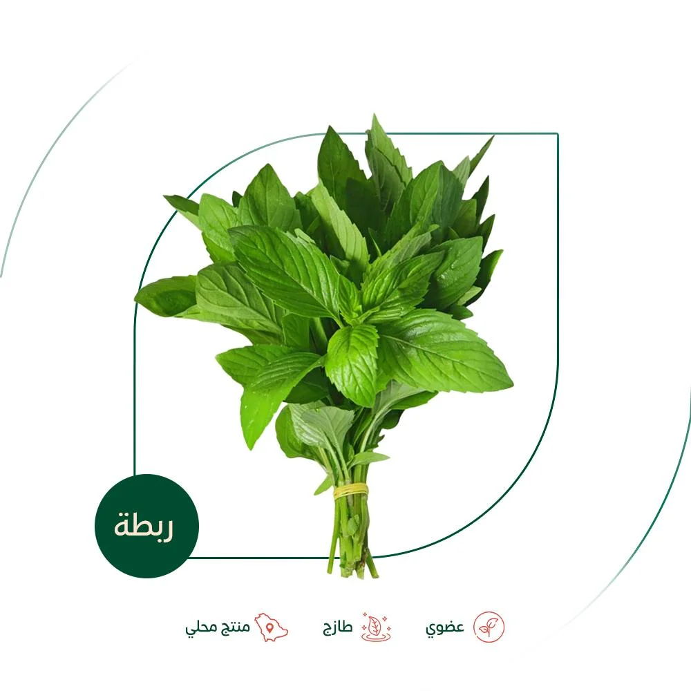 Fresh organic mint, organic growhouse farm