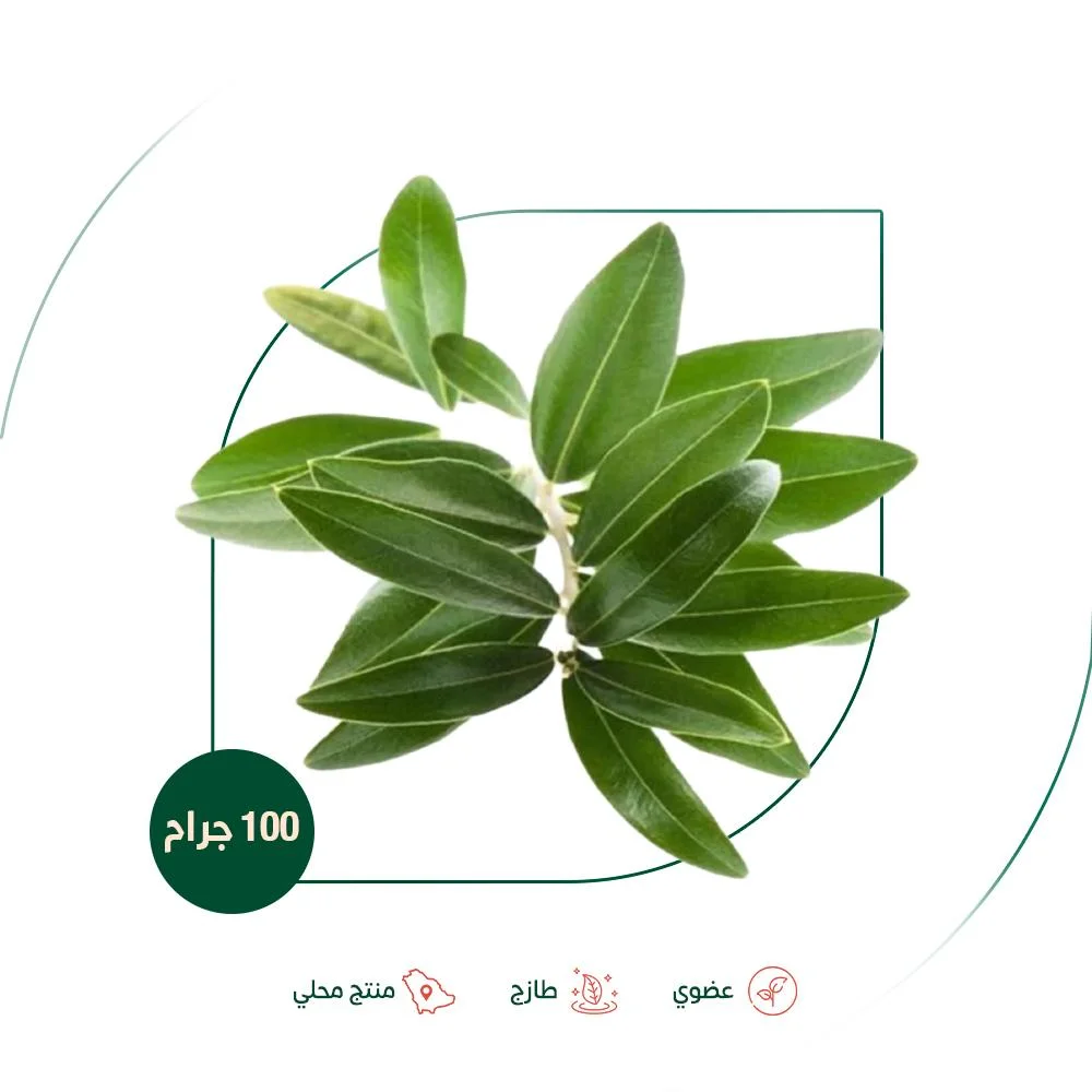 Fresh organic olive leaves from the organic garden...
